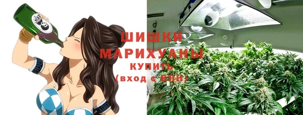 ПСИЛОЦИБИНОВЫЕ ГРИБЫ Баксан