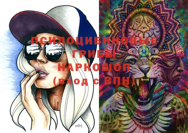 ПСИЛОЦИБИНОВЫЕ ГРИБЫ Баксан